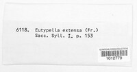 Eutypella extensa image